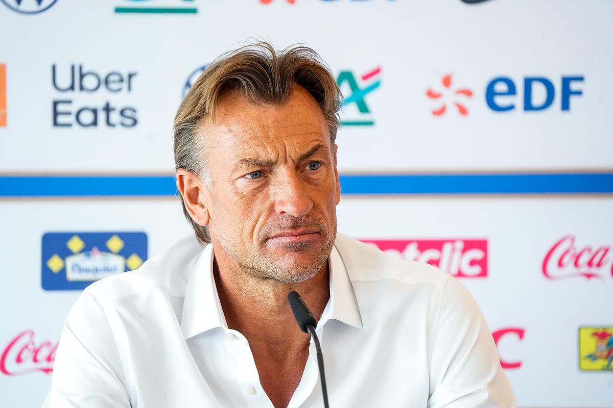 EdF ‍: Hervé Renard alerts the French to this trap