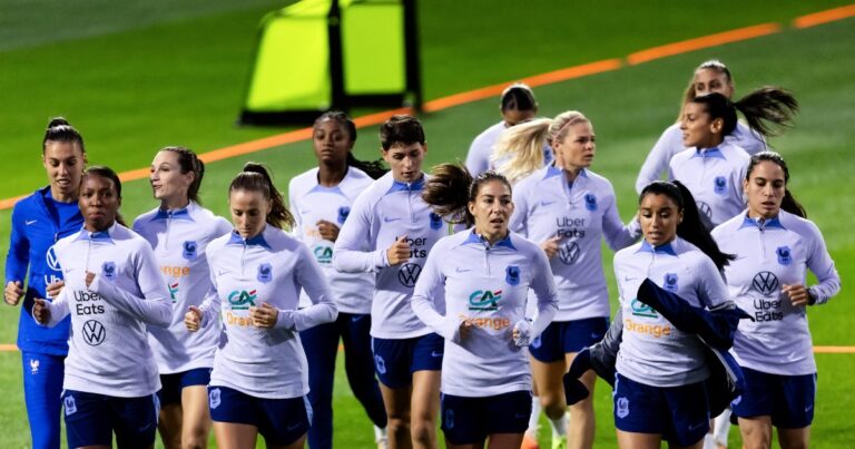 France-Jamaica: streaming, TV channel and compositions