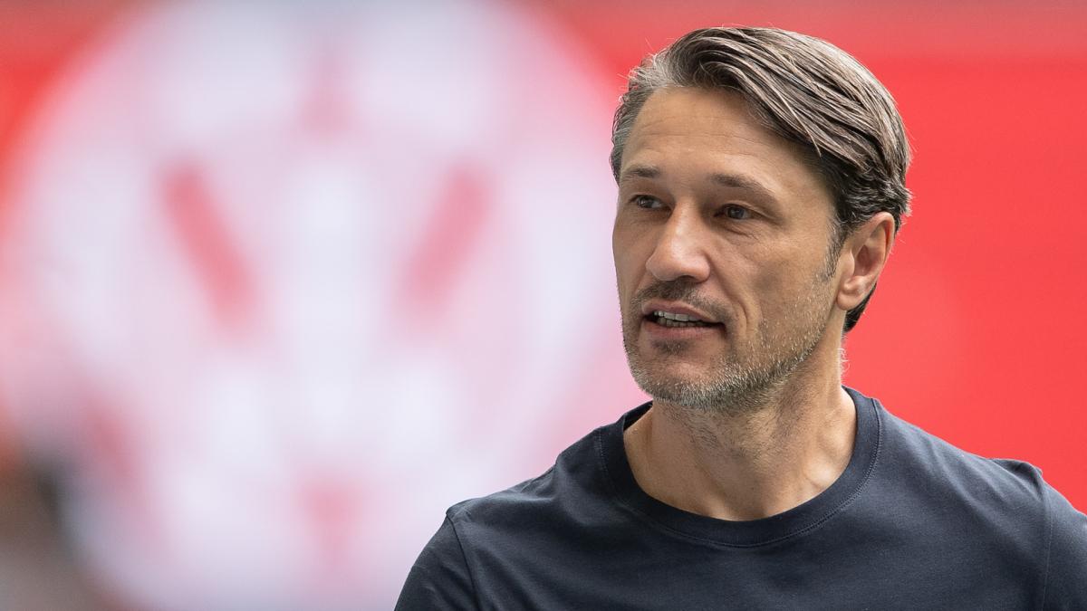 Wolfsburg: Niko Kovac thinks Ligue 1 is better than the Bundesliga