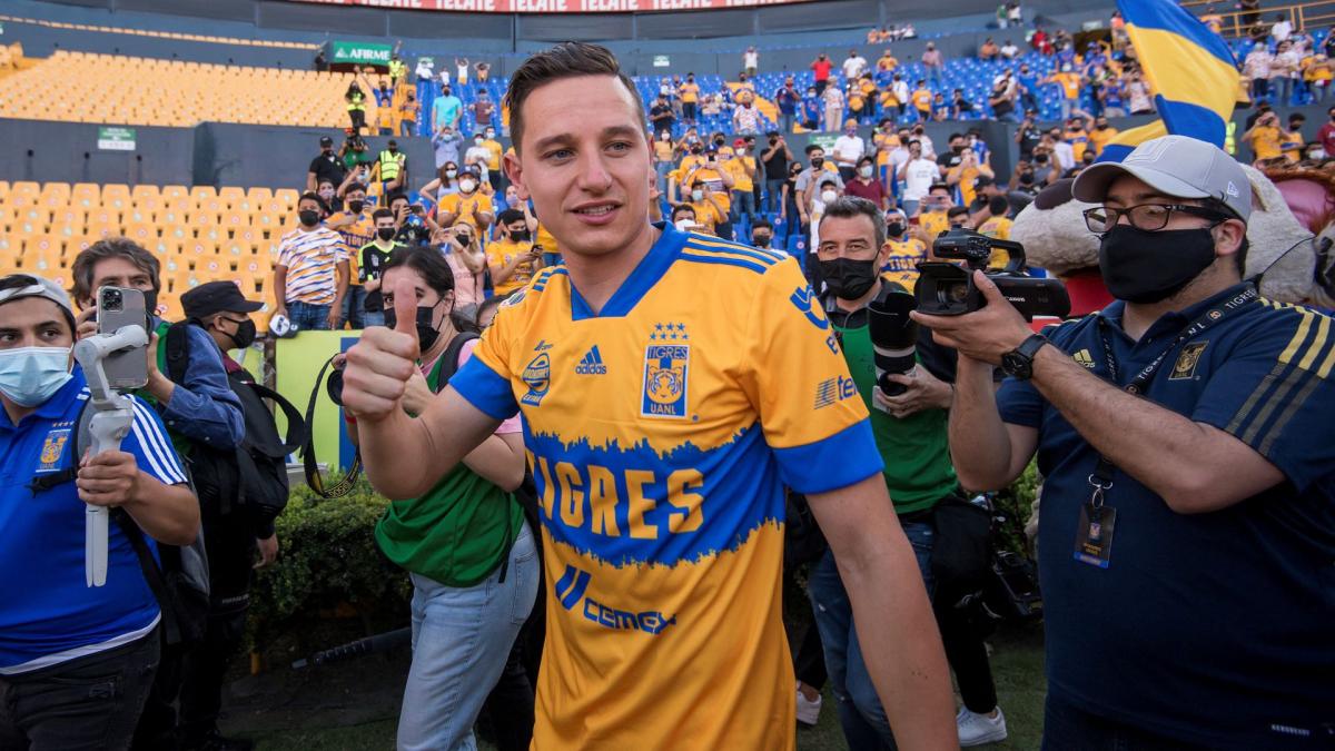 Florian Thauvin engages in a millionaire war with the Tigers