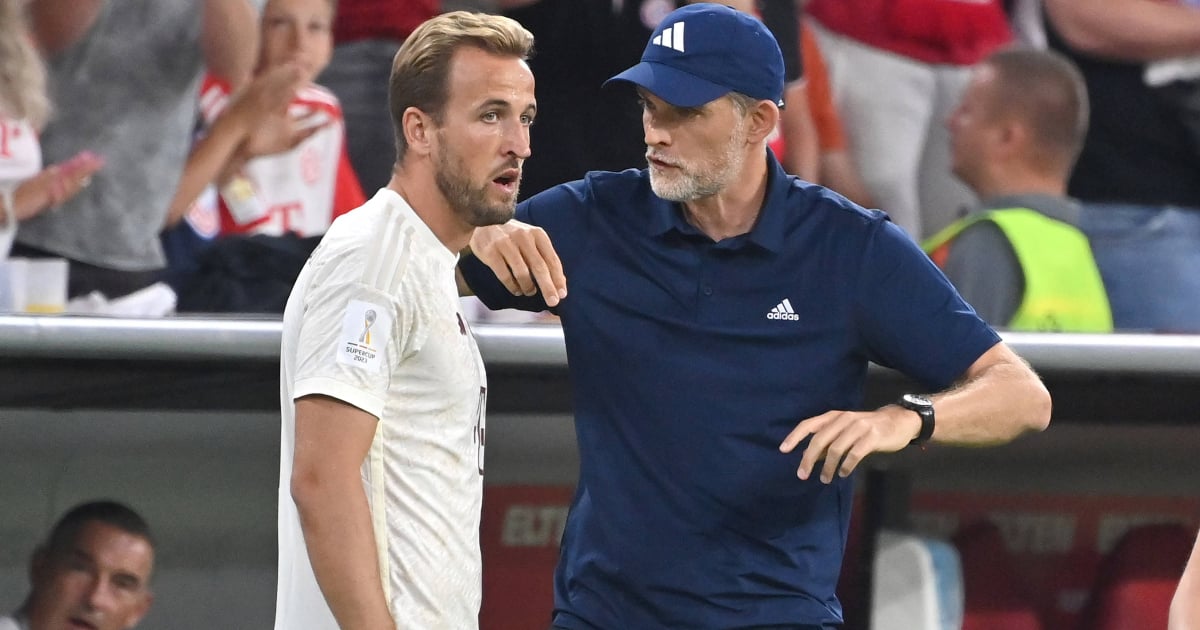 Thomas Tuchel apologizes to Harry Kane