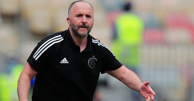 Djamel Belmadi refuses a golden bridge from the Saudis