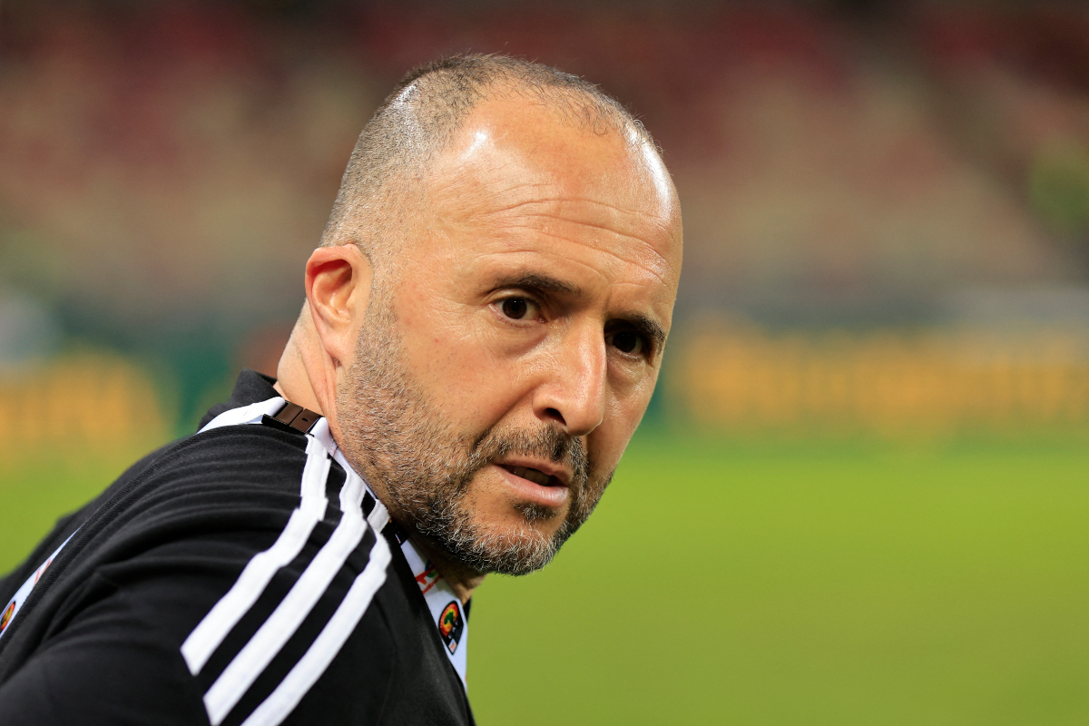 Algeria: Belmadi's message to Belaili