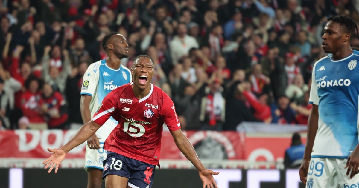 Losc causes a sensation