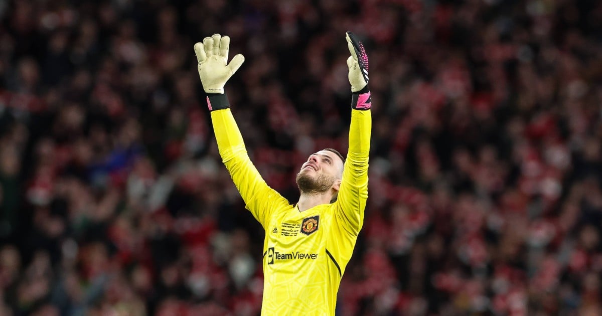 MU: De Gea already back?