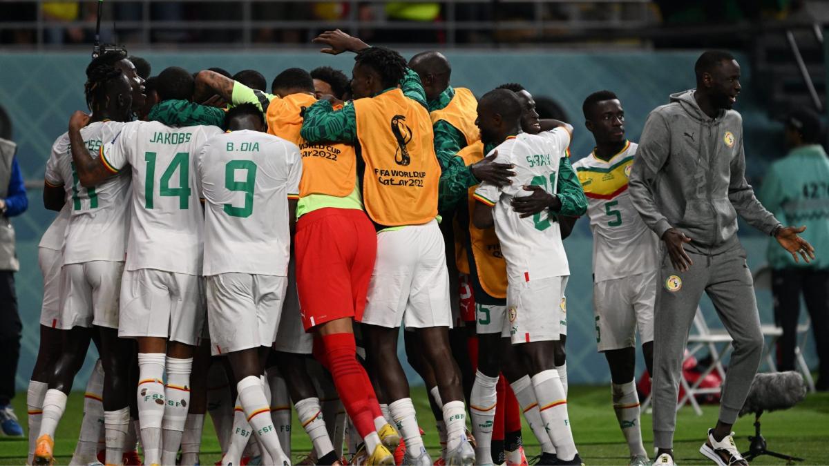 CAN 2023: big blow for Senegal!