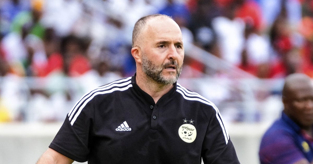 Algeria, the departure of Belmadi is confirmed!