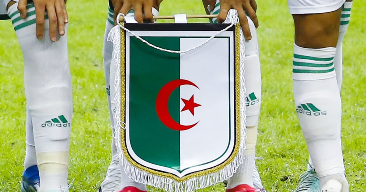 Algeria formalizes its new coach