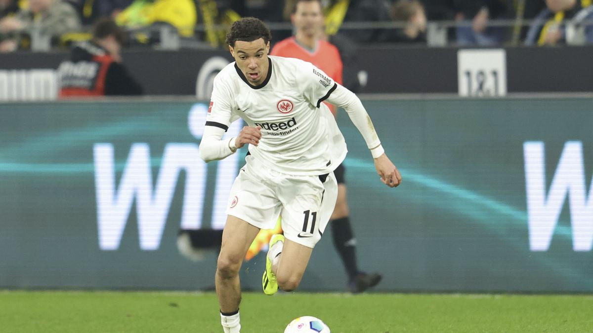 PSG: Eintracht Frankfurt definitely recruits Hugo Ekitike!