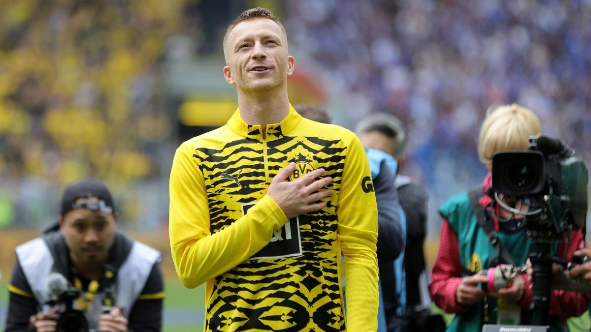 BVB: Marco Reus' farewell message