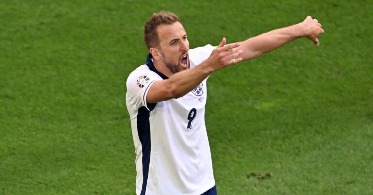 Harry Kane, the controversial penalty? (video)