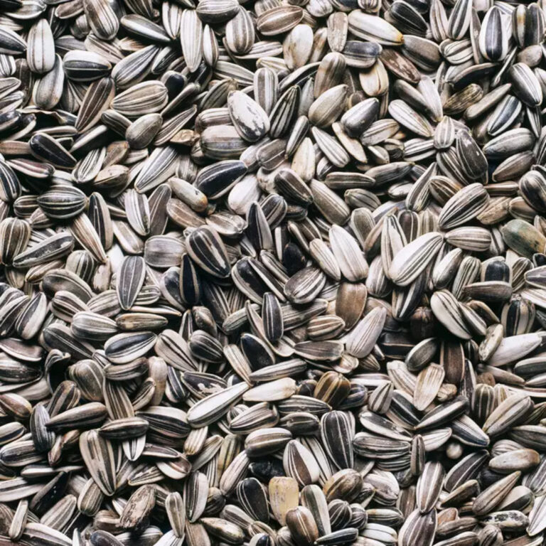 Sunflower seeds nutrition