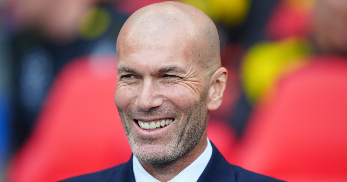 Zidane, the incredible image