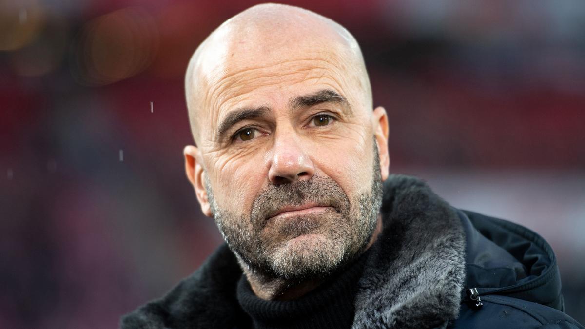 PSG - PSV: the sincere confession of Peter Bosz