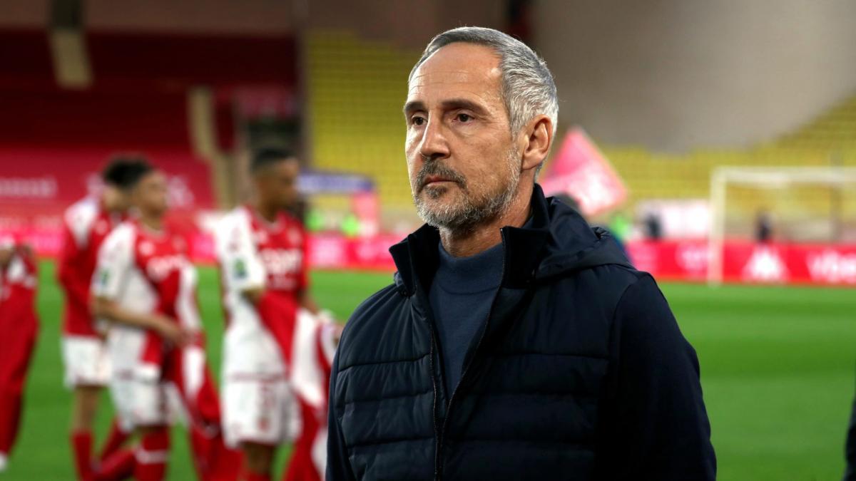 AS Monaco: Adi Hütter is not afraid of PSG