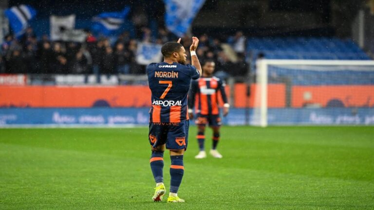 Montpellier: Arnaud Nordin on the way to the Bundesliga