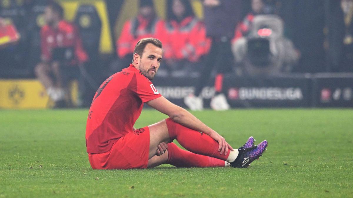 Harry Kane can leave Bayern Munich for a derisory sum!