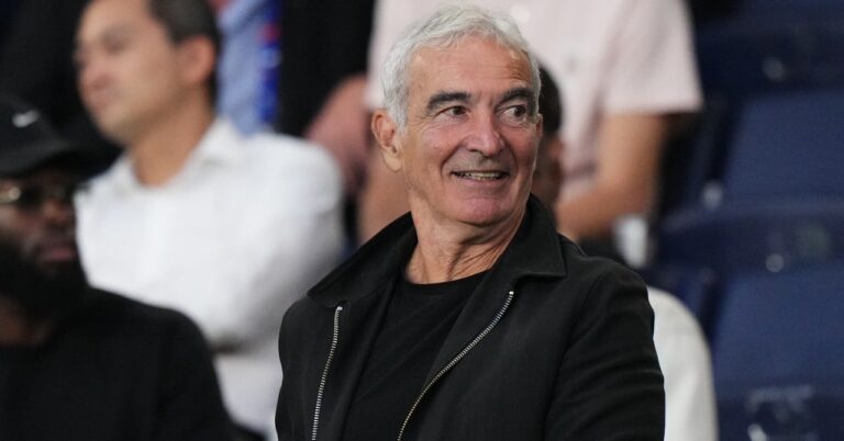 Raymond Domenech, disrespectful words