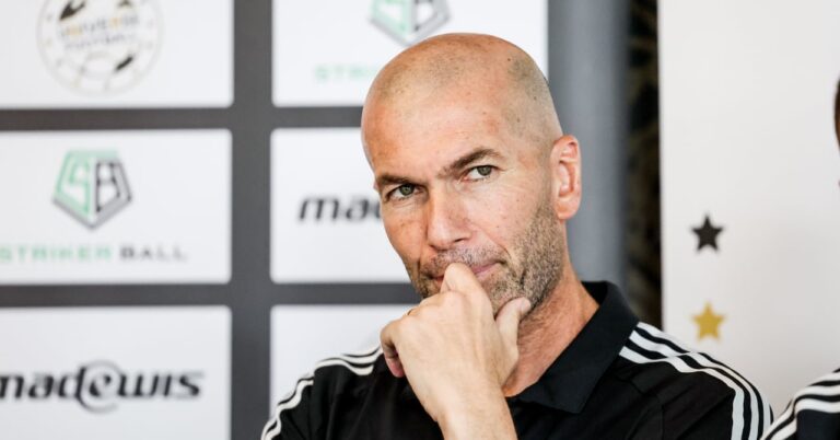 Zidane's second life