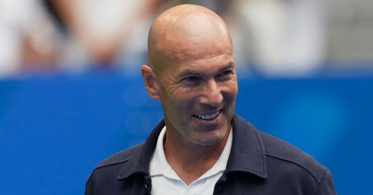 Zinedine Zidane, Raymond Domenech balances his truths!