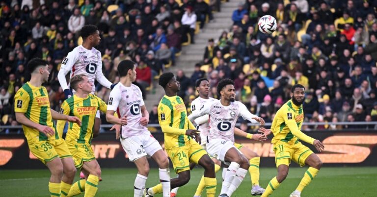 LOSC cries yellow