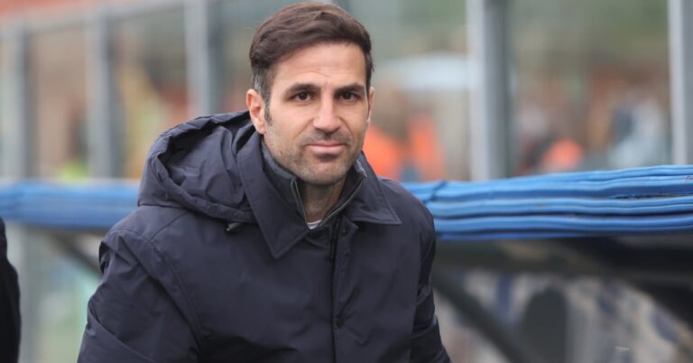 Fabregas on the bench of a great Europe?