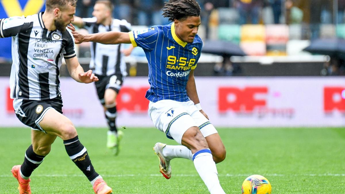 OL: Amin Sarr has made everyone agree at Hellas Verona