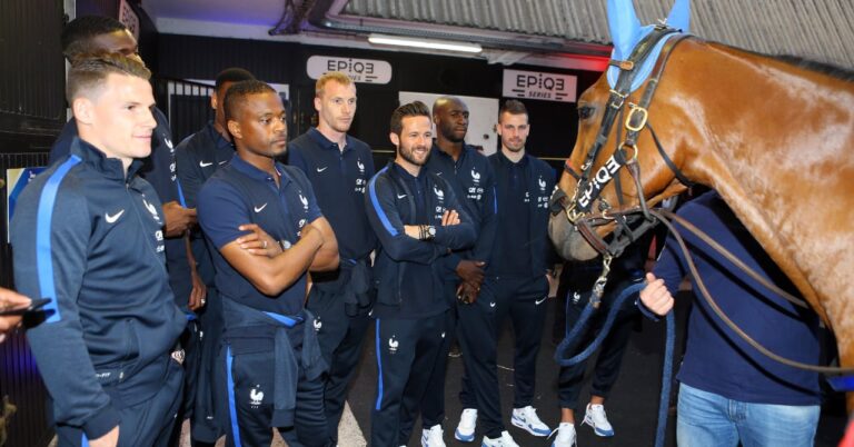 This former blue is now working at Intersport!