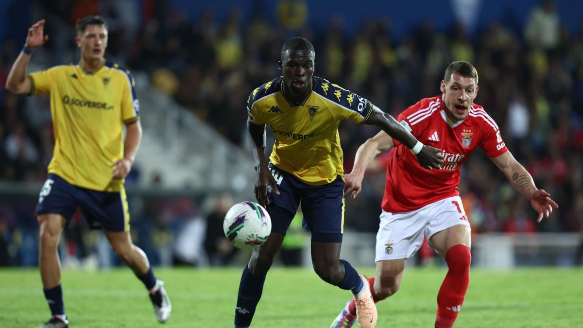 Estoril: Kévin Boma is very courted