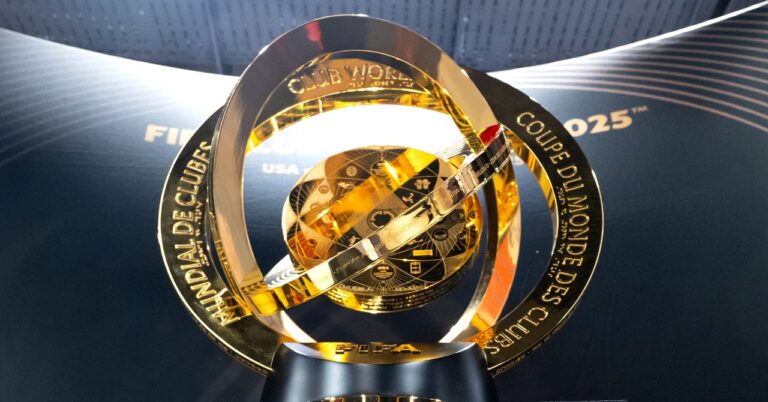 The winner of the World Cup unveiled!