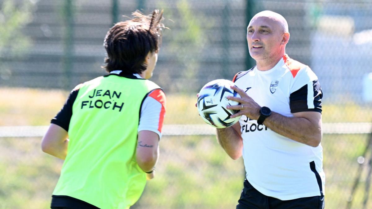 Bayer lends Abdoulaye Faye in Lorient