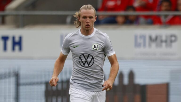 BL: Wolfsburg hung by Mainz