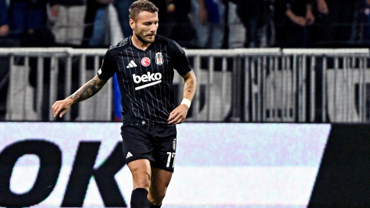 Bologna: Immobile ciro absent two months