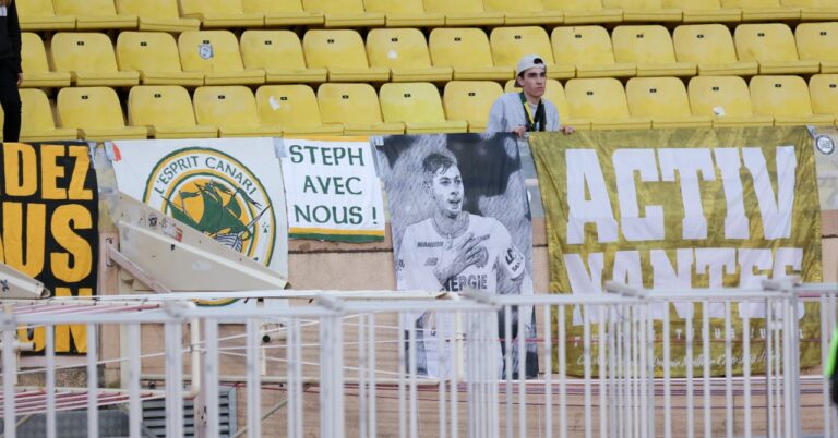 Emiliano Sala case: the Cirque continues