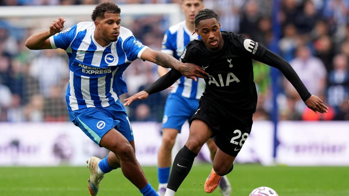 PL: Brighton hooks Tottenham, Crystal Palace wins West Ham
