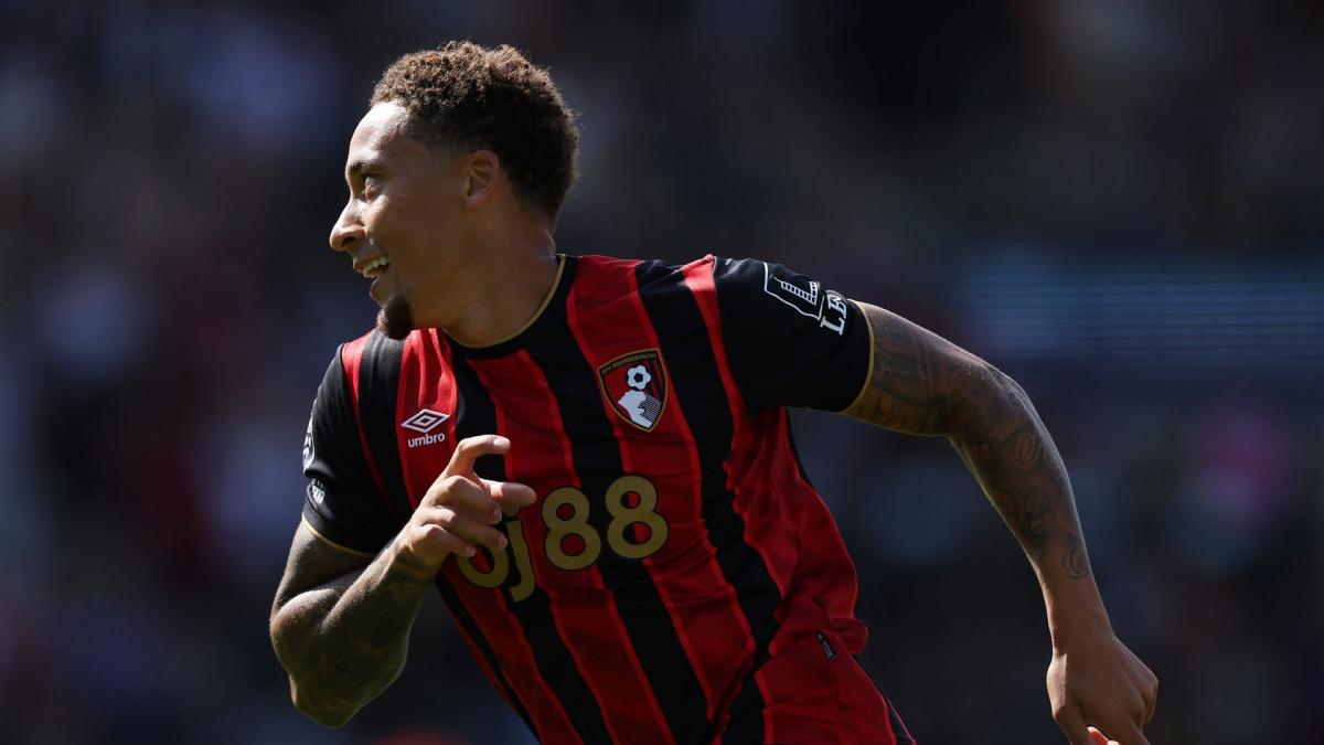 PL: Newcastle Hitch Bournemouth, Aston Villa frustrated by Sunderland
