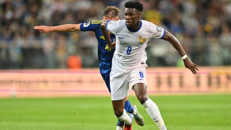 Ukraine - France : les notes du match