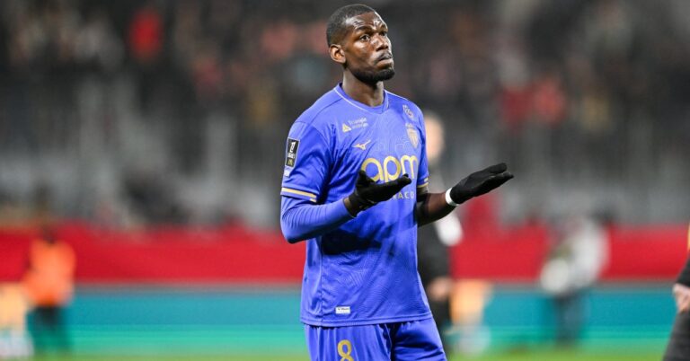 Paul Pogba, the artistic blur