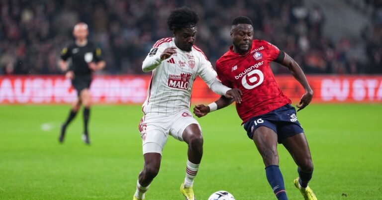 Lille-Brest: the Mastiffs break down then save their honor!