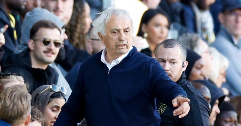 Halilhodzic-Pauleta, the incredible confusion