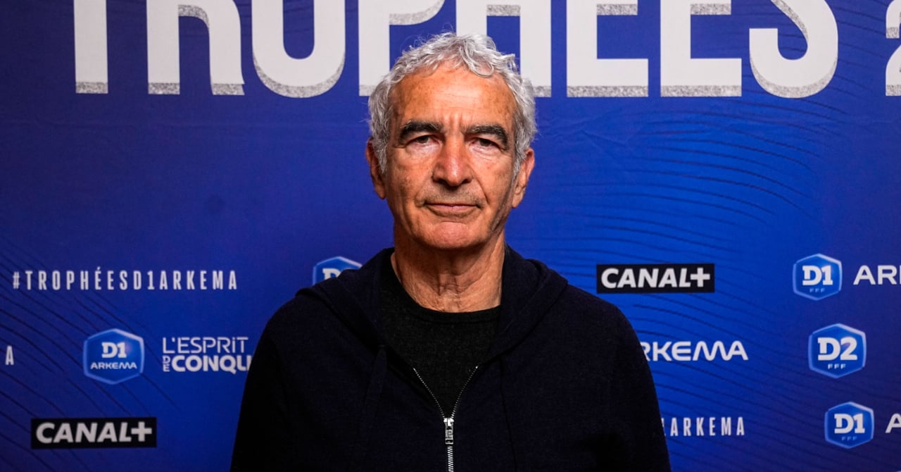Raymond Domenech, the worrying explanation