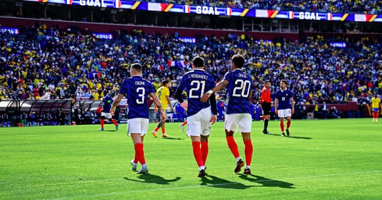 France-Senegal, the verdict which does not reassure