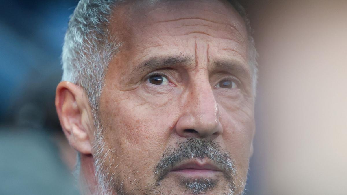 Adi Hütter appointed Frankfurt coach