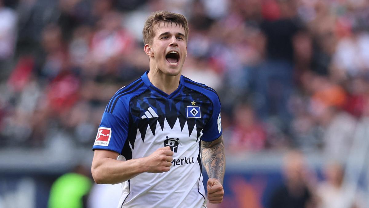 Brighton make offer for Tottenham crack