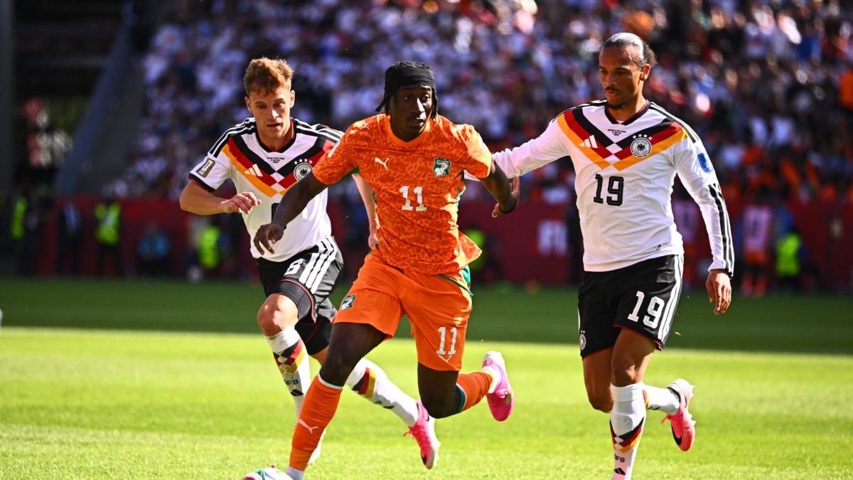 Mercato: the highly coveted Yan Diomandé failed at Liverpool and chose PSG!