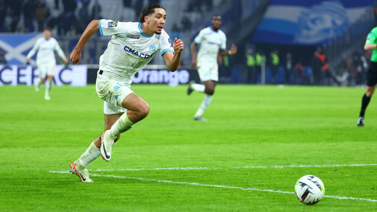 Hamburg announces the signing of Bilal Nadir