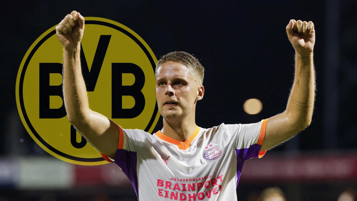 Borussia Dortmund announces new recruit