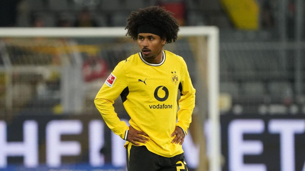 Borussia Dortmund have found Karim Adeyemi's replacement