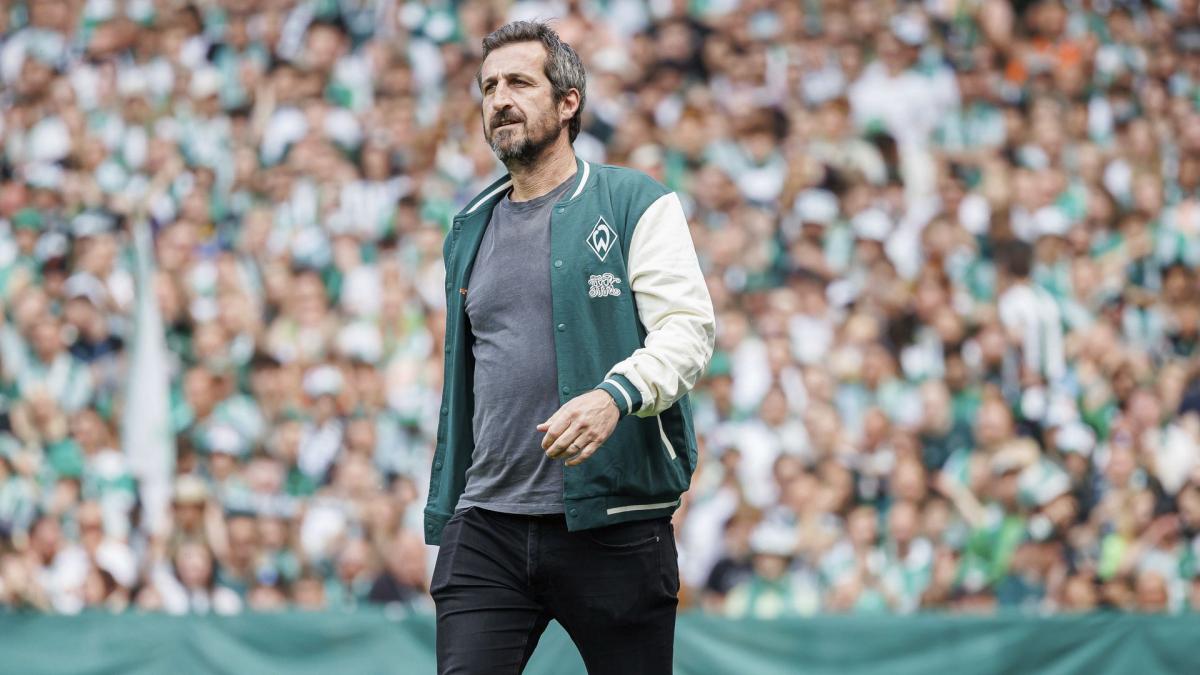 French team: Johan Micoud attacks Didier Deschamps' record