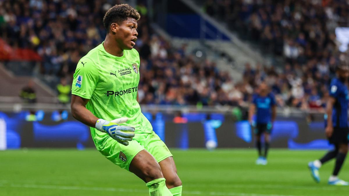 PSG prepares a second offer for Zion Suzuki